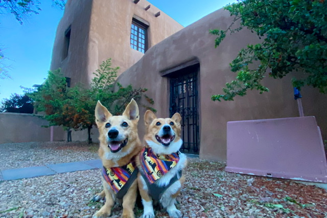 Dog Friendly Santa Fe, New Mexico - Templeton Travels