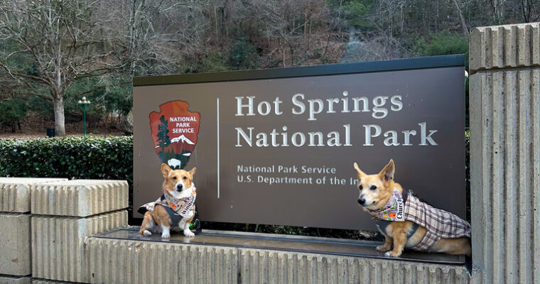 Hot Springs National Park With Dogs