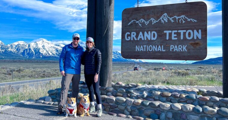 Grand Teton National Park With Dogs