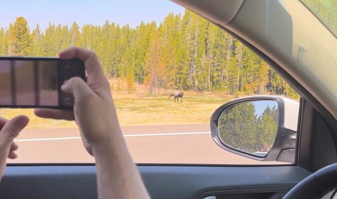 Audio Guides: Your National Park Companion