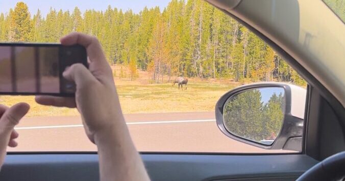 NATIONAL PARK SERVICE AUDIO TOURS visual data 7