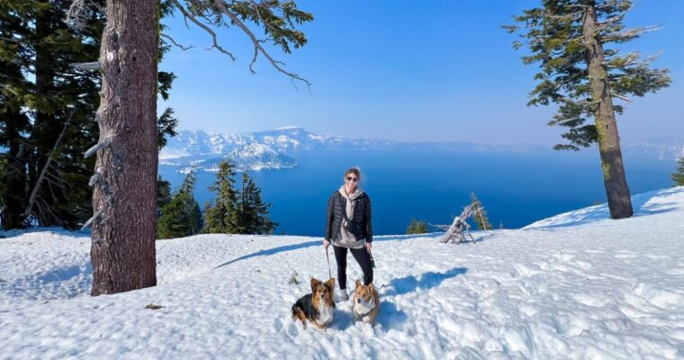 Crater Lake National Park With Dogs