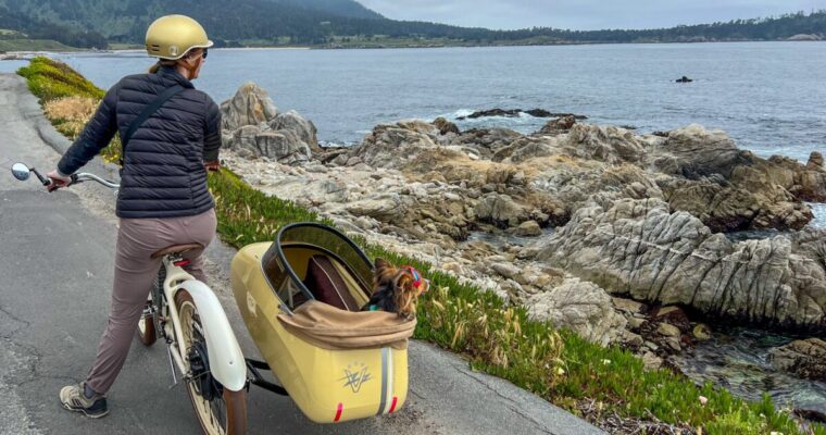 Dog-Friendly Carmel-By-The-Sea