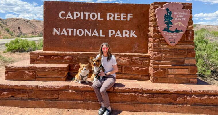 Capitol Reef National Park With Dogs